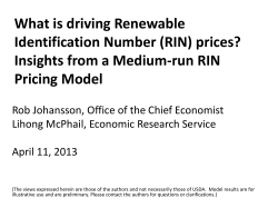What is driving Renewable Identification Number (RIN) prices? Pricing Model