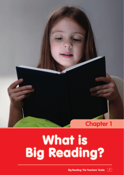 What is Big Reading? Chapter 1 Big Reading: The Teachers’ Guide