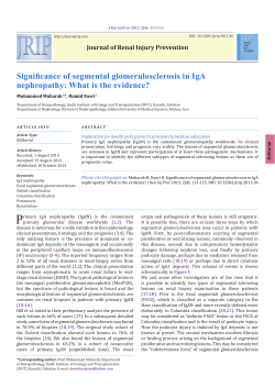 Significance of segmental glomerulosclerosis in IgA nephropathy: What is the evidence? ak