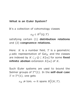 What is an Euler System? It’s a collection of cohomology classes