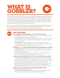 What is Gobbler?