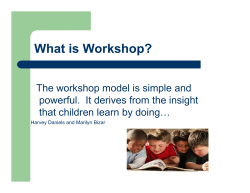 What is Workshop?