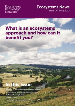 What is an ecosystems approach and how can it benefit you?
