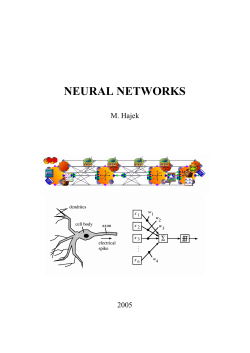 NEURAL NETWORKS M. Hajek 2005