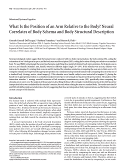 What Is the Position of an Arm Relative to the... Correlates of Body Schema and Body Structural Description