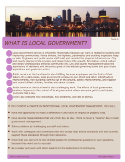 WHAT IS LOCAL GOVERNMENT?