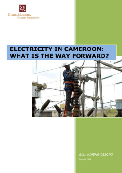 ELECTRICITY IN CAMEROON: WHAT IS THE WAY FORWARD? Edith NDJENG OSSONO