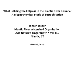 What is Killing the Eelgrass in the Niantic River Estuary?