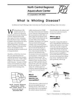 W What is Whirling Disease? North Central Regional Aquaculture Center