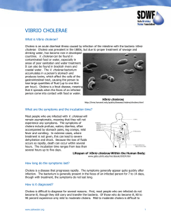 VIBRIO CHOLERAE  What is Vibrio cholerae?