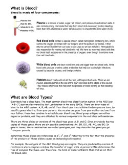 What is Blood? Plasma