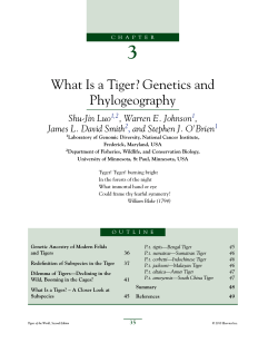 3 What Is a Tiger? Genetics and Phylogeography Shu-Jin Luo