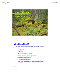 Plant Diversity What is a Plant? Chapter 29 (573-588) Chapter 30 (591-606)