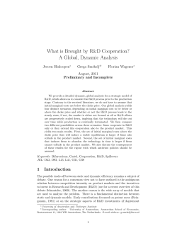 What is Brought by R&amp;D Cooperation? A Global, Dynamic Analysis Jeroen Hinloopen