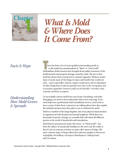 1 TT What Is Mold &amp; Where Does
