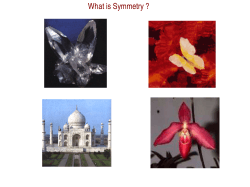 What is Symmetry ? 