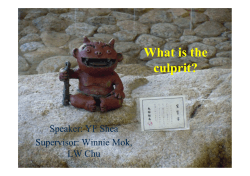 What is the culprit? Speaker: YF Shea Supervisor: Winnie Mok,