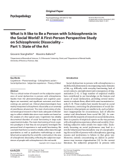 What Is It like to Be a Person with Schizophrenia... the Social World? A First-Person Perspective Study