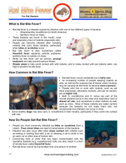 What Is Rat Bite Fever?