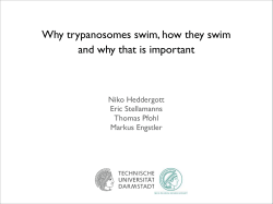 Why trypanosomes swim, how they swim and why that is important