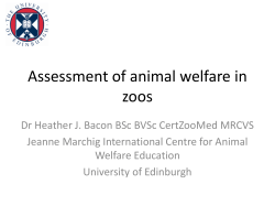 Assessment of animal welfare in zoos