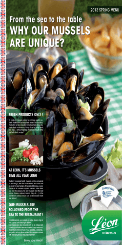 Why our mussels are unique? From the sea to the table