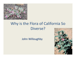 Why is the Flora of California So   Diverse? John Willoughby