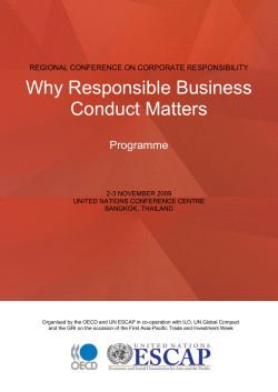 Why Responsible Business Conduct Matters  Programme