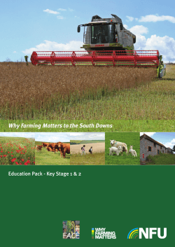 Why Farming Matters to the South Downs 1