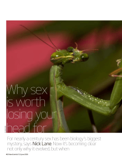 Why sex is worth losing your head for