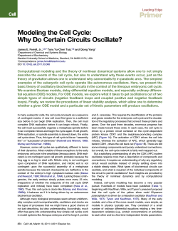 Primer Modeling the Cell Cycle: Why Do Certain Circuits Oscillate? Leading Edge