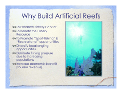 Why Build Artificial Reefs