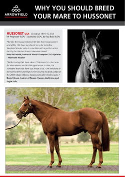 WhY You shouLD bReeD YouR MaRe to hussonet hussonet
