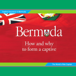 How and why to form a captive Captive Insurance in Bermuda