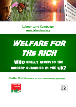 WELFARE FOR THE RICH WHO really receives the biggest subsidies in the UK?