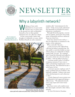 W Why a labyrinth network?