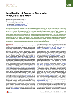 Review Modification of Enhancer Chromatin: What, How, and Why? Molecular Cell