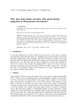 Why does slug length correlate with speed during Dictyostelium discoideum? J. Biosci.,