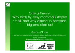 Only a theory: Why birds fly, why mammals stayed