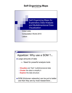 Appetizer: Why use a SOM ? Self-Organizing Maps Self-Organizing Maps for