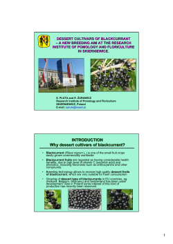 DESSERT CULTIVARS OF BLACKCURRANT – A NEW BREEDING AIM AT THE RESEARCH