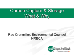 Carbon Capture &amp; Storage What &amp; Why Rae Cronmiller, Environmental Counsel
