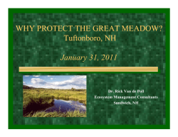 WHY PROTECT THE GREAT MEADOW? Tuftonboro, NH January 31, 2011