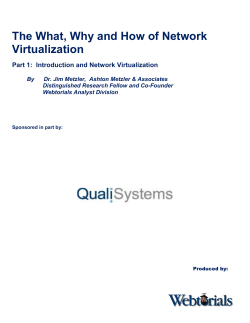 The What, Why and How of Network Virtualization
