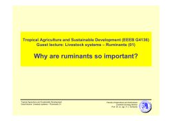 Tropical Agriculture and Sustainable Development (EEEB G4136)