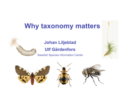 Why taxonomy matters Johan Liljeblad Ulf Gärdenfors Swedish Species Information Centre