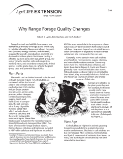 Why Range Forage Quality Changes