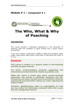 The Who, What &amp; Why of Poaching &amp;