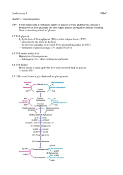 Biochemistry II F.RIsV Chapter 3: Gluconeogenesis