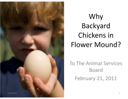 Why Backyard Chickens in Flower Mound?